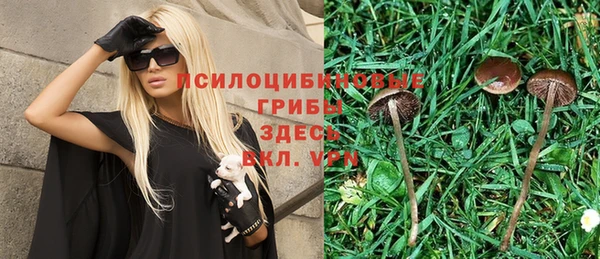 ешки Алексин