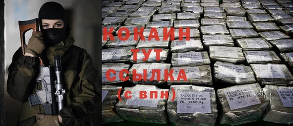 гашик Осинники