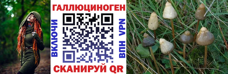 Псилоцибиновые грибы Magic Shrooms  закладка  Усинск 